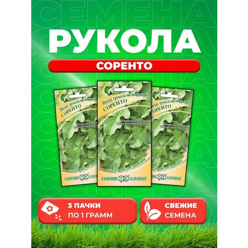 Индау Соренто (Рукола) 1,0 г автор. (3уп) семена гавриш семена от автора рукола индау культурная соренто 1 г