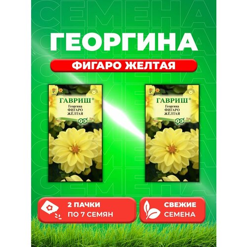 Георгина Фигаро желтая, 7 шт, Цветочная коллекция(2уп) георгина фигаро желтая семена