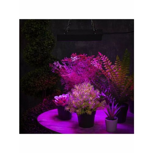 Фитосветильник светодиодный 50 Вт 200 мм IP20 265 2443₽