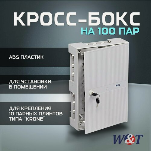 Изображение товара Кросс-бокс (320х215х75мм) на 100 пар с замком, серый, WT-S068C