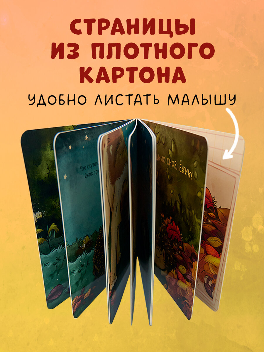 Ёжик в саду Первая книга малыша о природе - фото №6