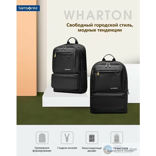 Рюкзак мужской городской Samsonite 36B*09003