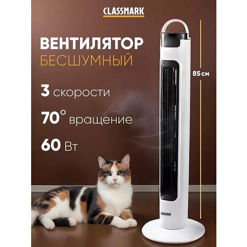 Напольный вентилятор Classmark осевой 60 Вт 3 скорости электрический 2705₽
