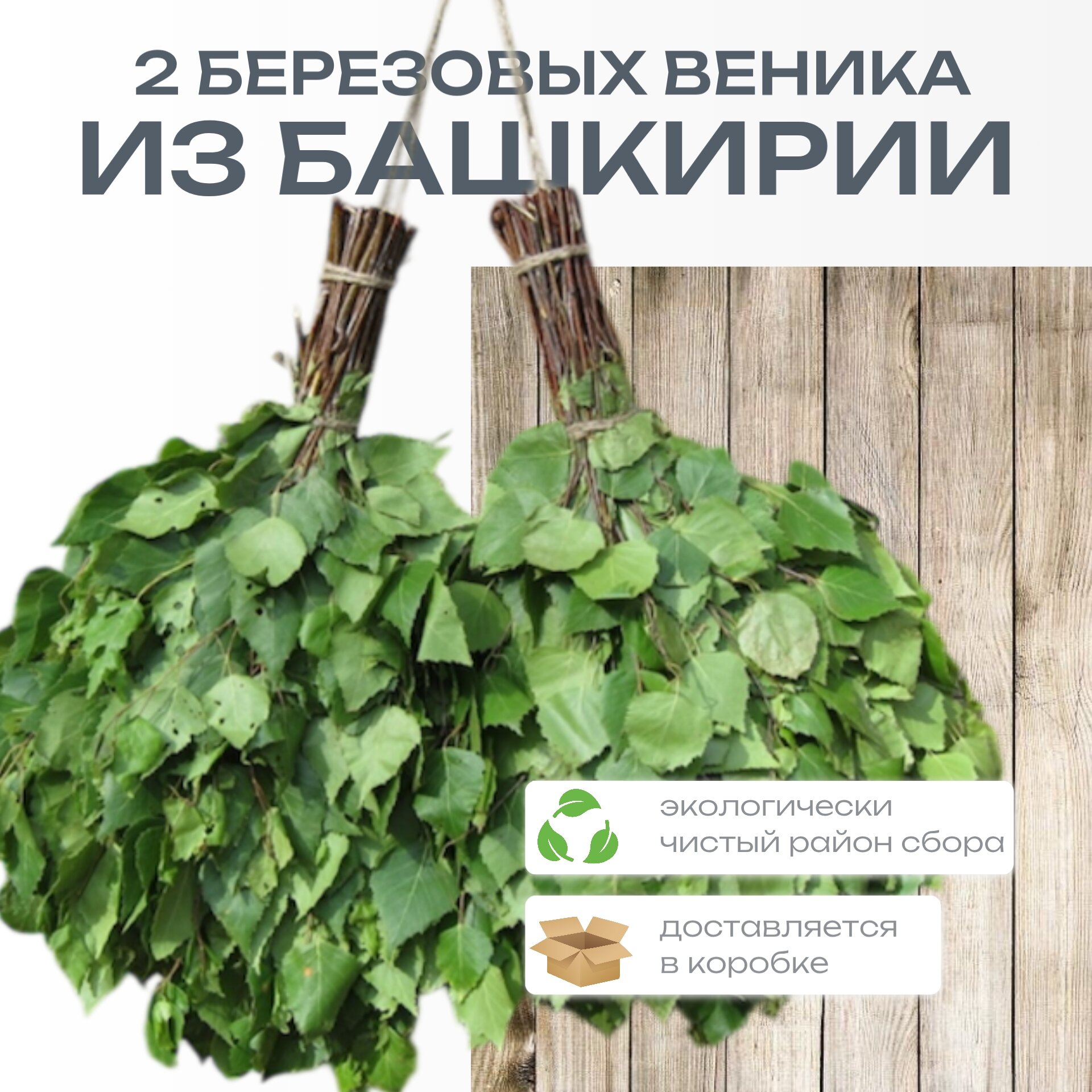 Веник для бани из березовых листьев из Башкортостана 2 штуки
