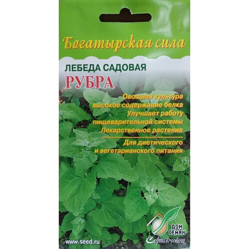 Лебеда Садовая Рубра, лекарственное растение с высоким содержанием белка для диетического и вегетарианского питания, 20 семян