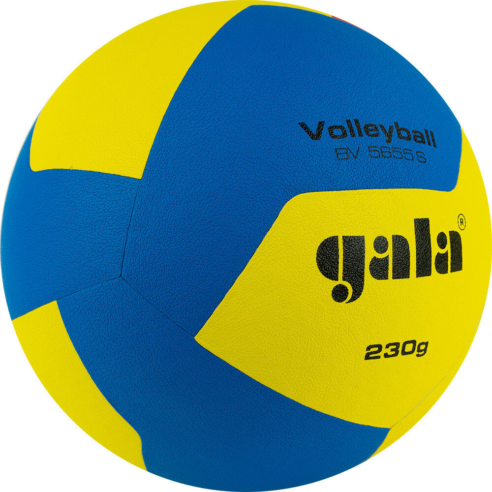 Мяч волейбольный GALA Training 230 12 BV5655S, размер 5, облегчённый