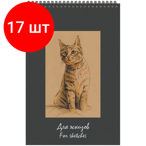 Комплект 17 шт, Скетчбук 50л, А5 Лилия Холдинг Котенок, на пружине, бумага крафт, 75г/м2 лилия холдинг блокнот для эскизов а5 50 листов на скрепке блок крафт бумага 50 г м2