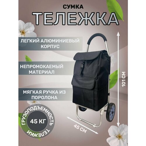 Сумка-тележка  203 черный, 50 л, 45х101х27 см, ручная кладь, черный