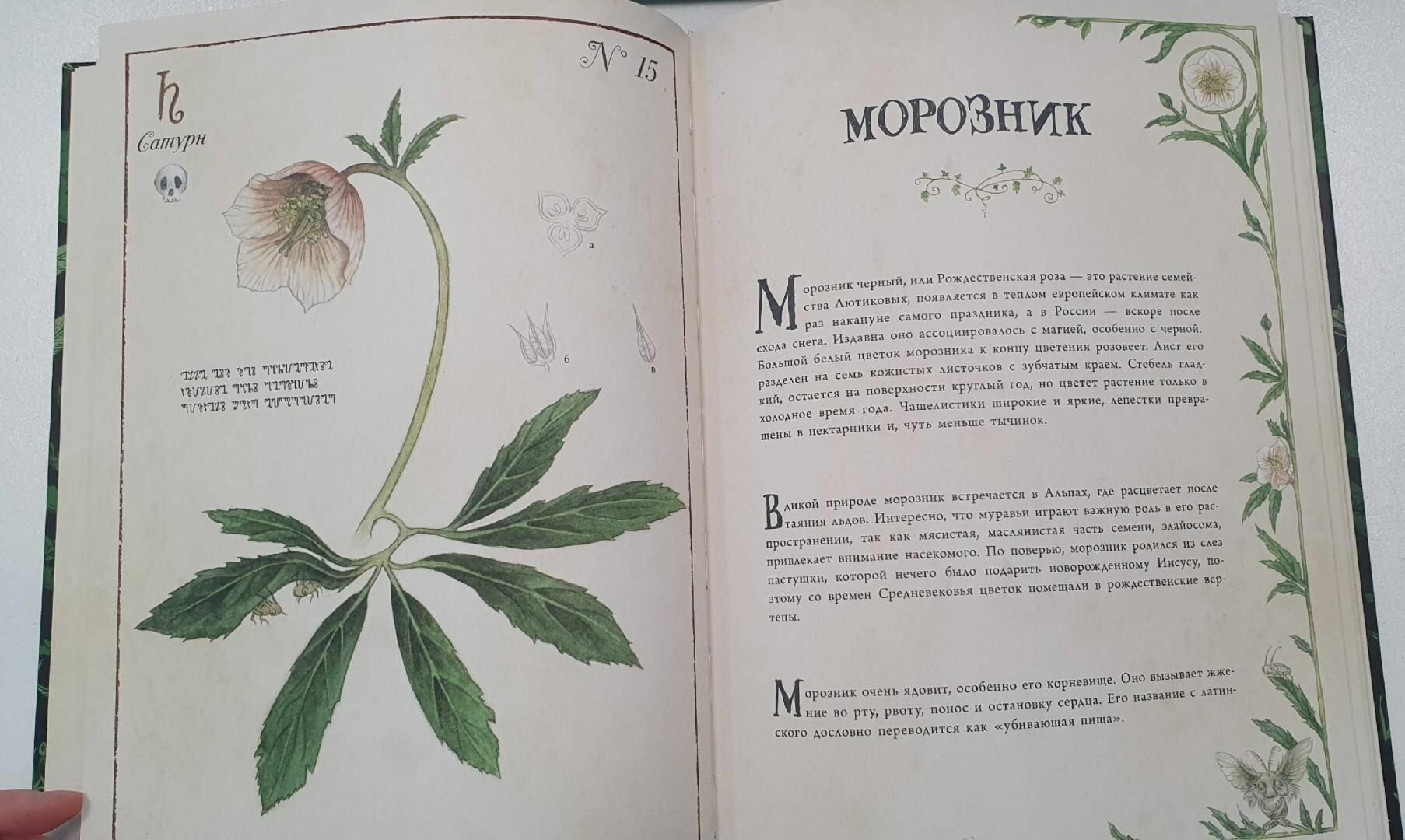 Секреты колдовских растений (Эли Ришар) - фото №7
