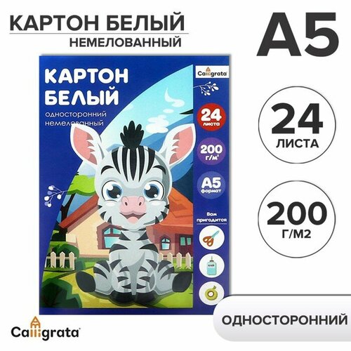 Картон белый А5, 24 листа, немелованный, плотность 200 г/м2, в папке картон белый а4 24 листа панда немелованный 200 г м2 в пакете