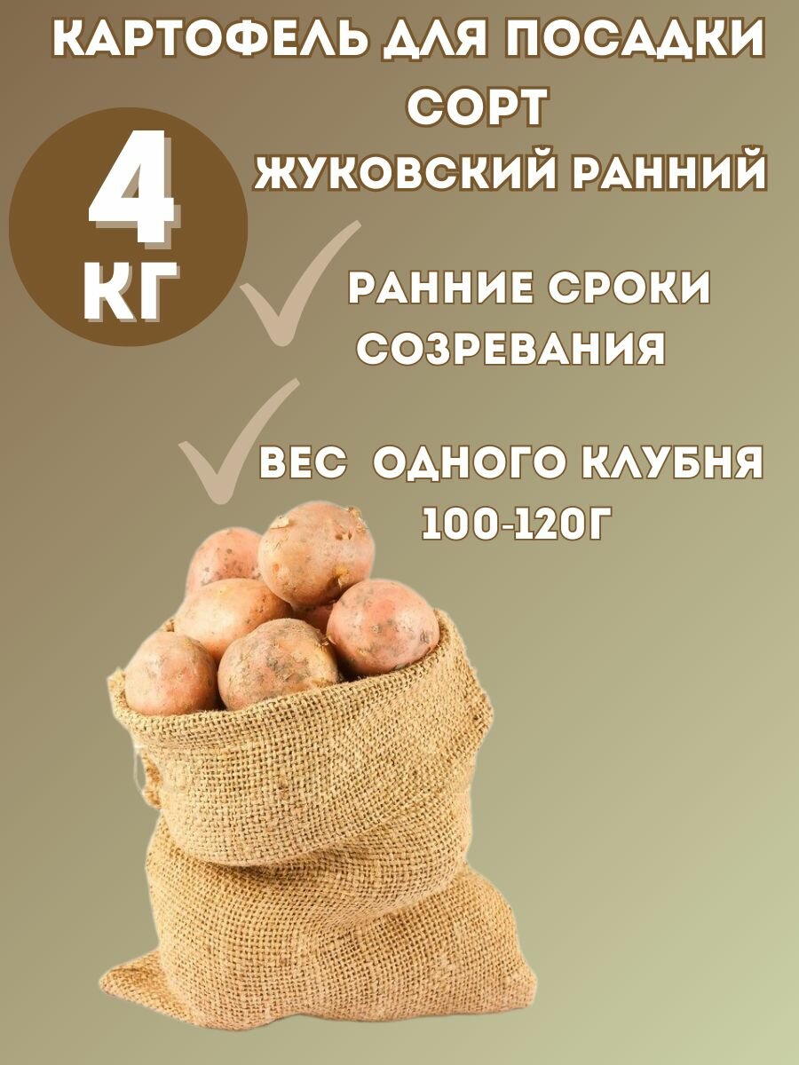 Картофель семенной Жуковский Ранний 4 кг