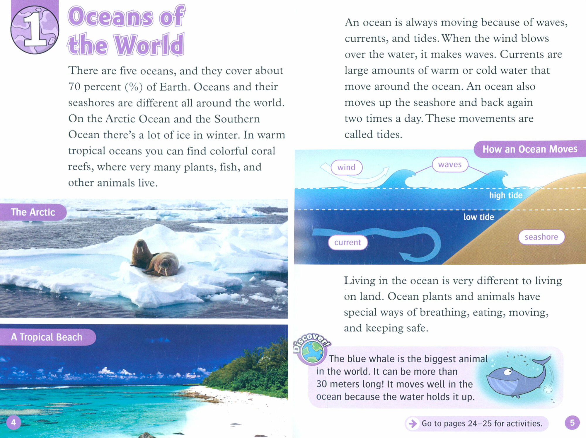 Oxford Read and Discover. Level 4. All About Ocean Life Audio Pack - фото №4