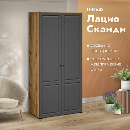 Шкаф распашной для одежды Лацио двухдверный 96х53х205см Сканди темно-серыйграфит коричневый 25999₽
