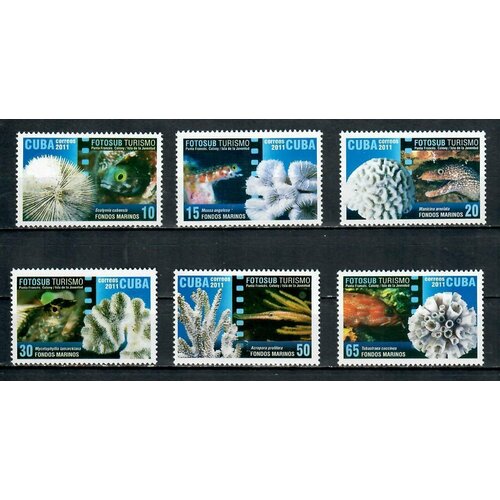 Почтовые марки Куба 2011г. Морская жизнь - туризм Фауна, Туризм, Морская фауна MNH