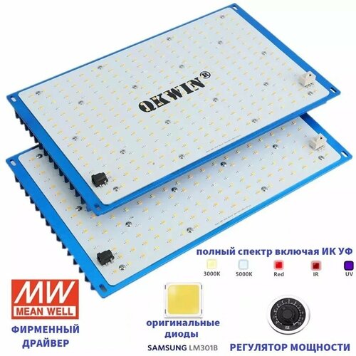 Светильник для растений, фитолампа-quantum board/ квантум борд, 240 ватт, Mean Well, диоды Samsung LM-301B, 288*2 шт. синий, синий, голубой