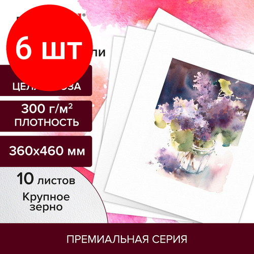 Комплект 6 шт, Бумага для акварели 300 г/м2 360x460 мм крупное зерно, 10 листов, BRAUBERG ART PREMIERE, 113229