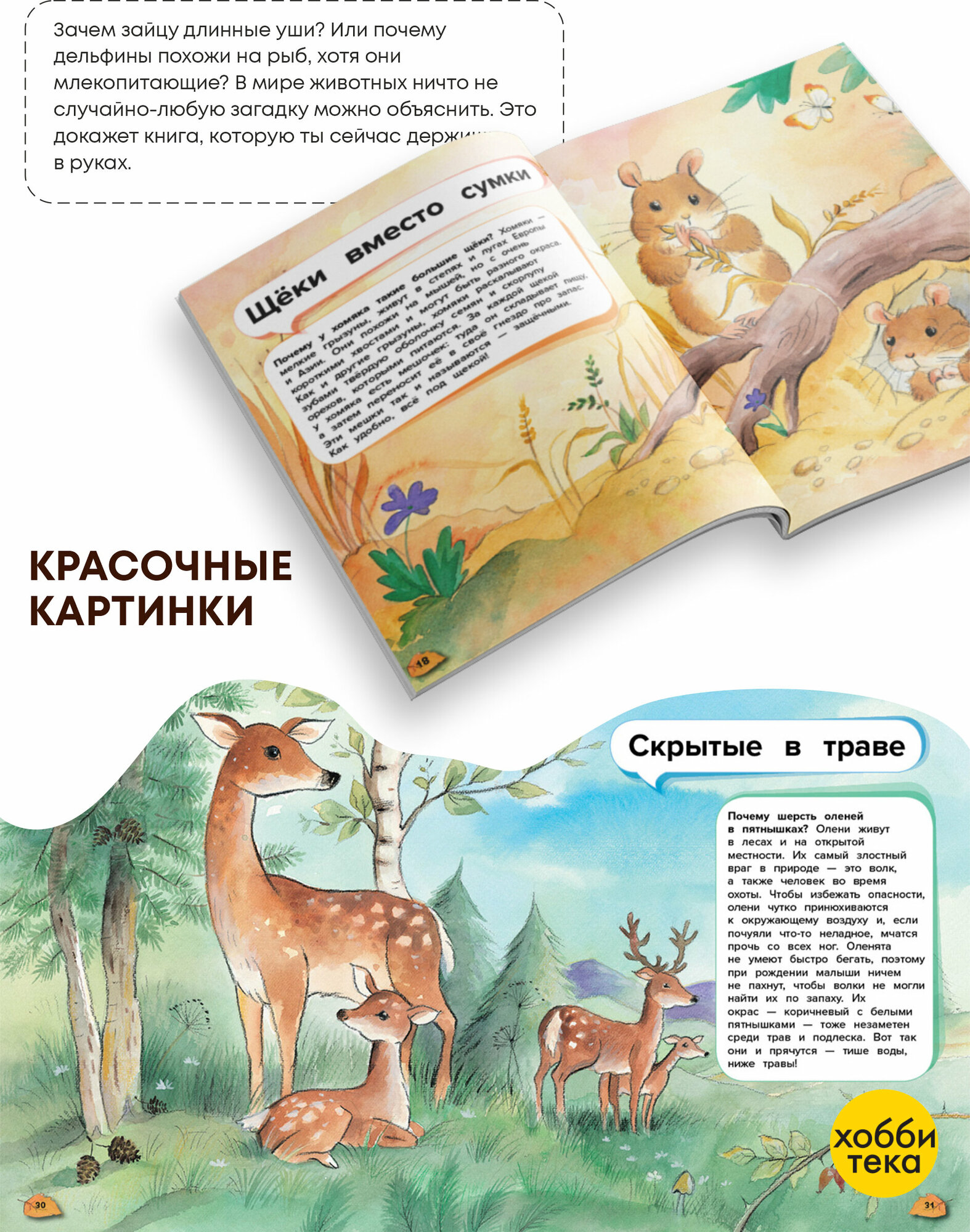 Чудеса животного мира. 44 удивительн.факта о жизни - фото №13