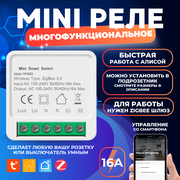 Умное реле 16А Zigbee Tuya, работает с Алисой, Original 3840 W Max