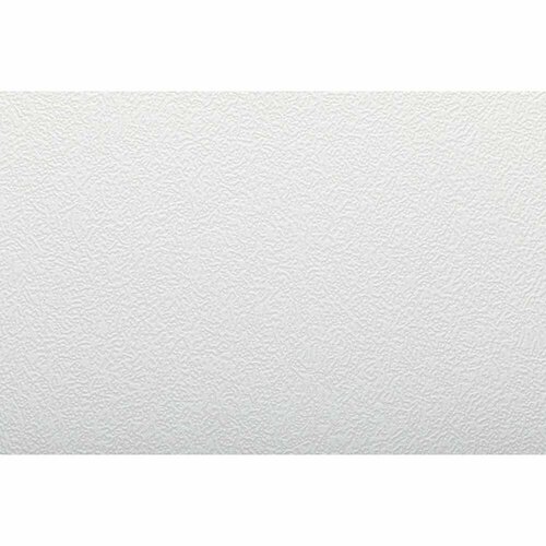 Обои флизелиновые под покраску New Company Antivandal 25x1,06 м (4010-22)