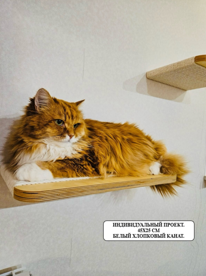 Настенная полка-когтеточка для кошки "Blande" с парящим эффектом - фотография № 7