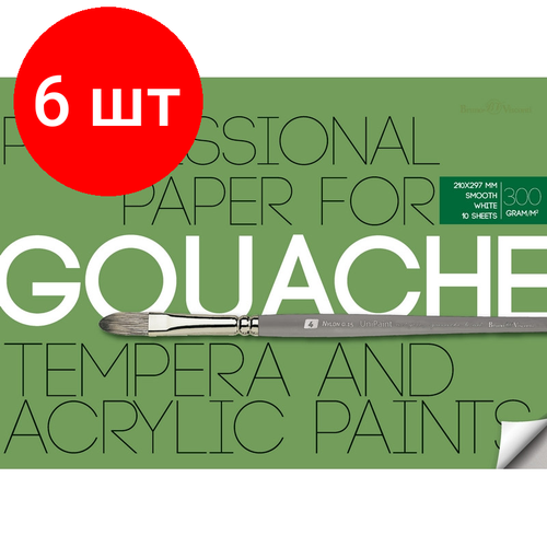 Комплект 6 штук, Бумага для акрила, гуаши и темперы А4.10л, блок 300гр, в папке 4-120