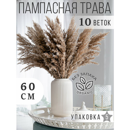 Сухоцвет Пампасная трава 10шт, Сухоцветы для декора ARANTA, Букет сухоцветов 55см, 60гр