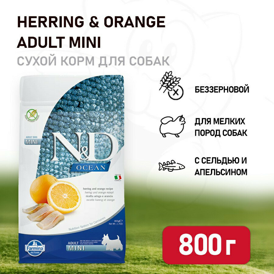 Farmina N&D Ocean Dog Herring And Orange Adult Mini сухой беззерновой корм для взрослых собак мелких пород с сельдью и апельсином - 800 г