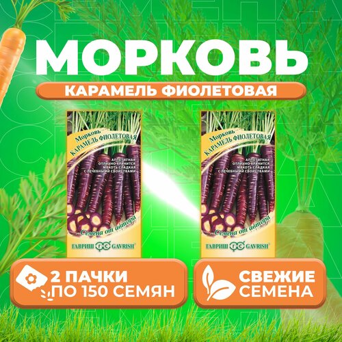 Семена моркови Карамель фиолетовая, 2 уп. по 150 шт, Гавриш, ранняя, однолетняя семена моркови карамель сахарная 2 уп по 70 шт гавриш ранняя однолетняя