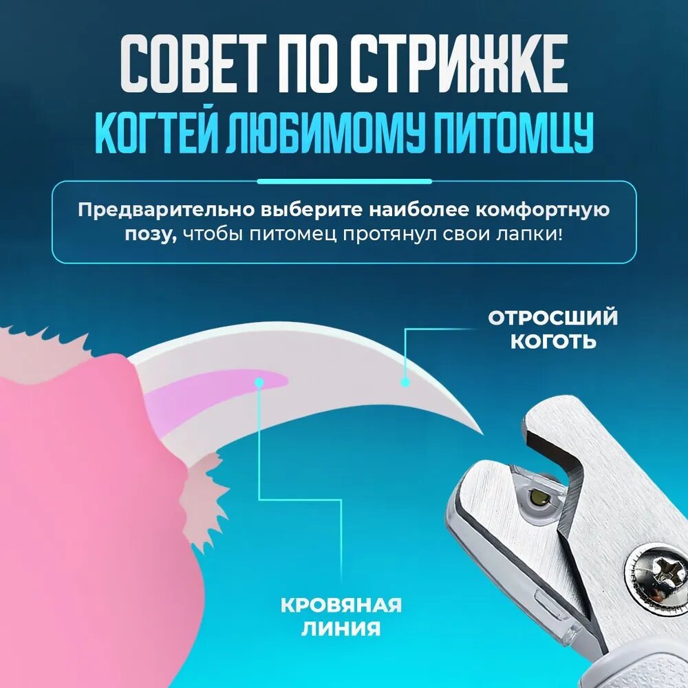 Когтерез для кошек и собак с LED фонарем PETKIT