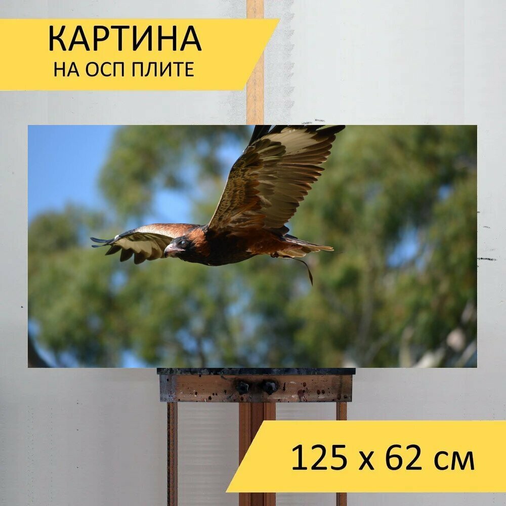 Картина на ОСП 125х62 см. "Птица, дикая природа, природа" горизонтальная, для интерьера, с креплениями