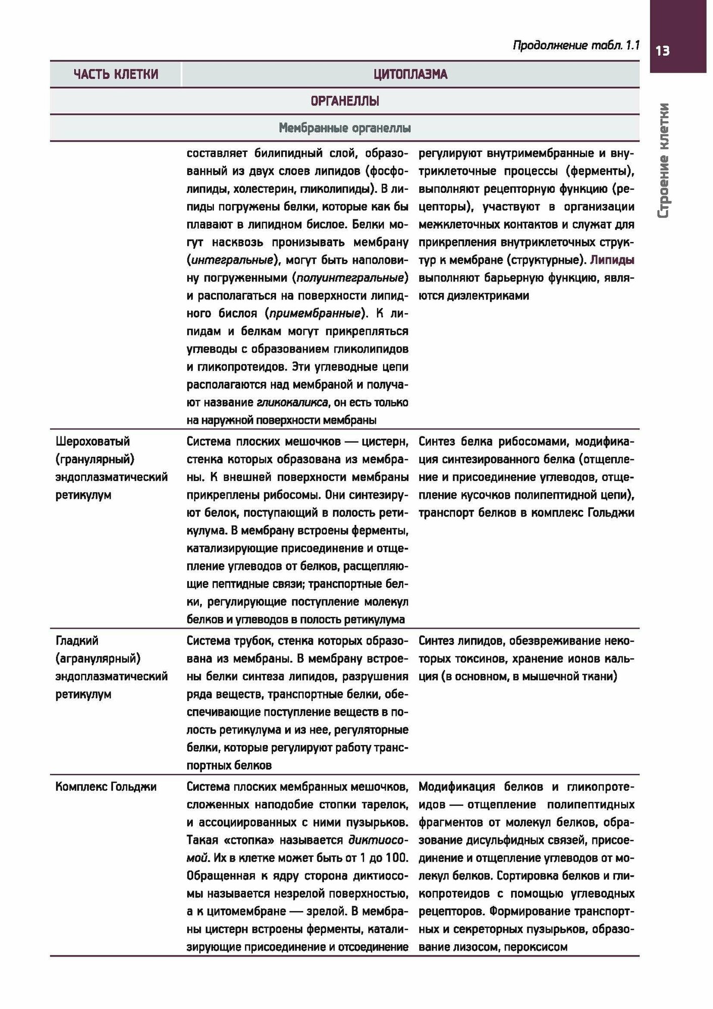 Гистология в схемах и таблицах. Учебное пособие. Цветной атлас - фото №15