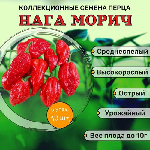 Коллекционные семена перца острого Нага Морич