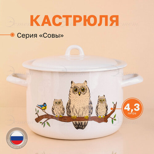 Изображение товара Кастрюля эмалированная для плиты 4.3 л