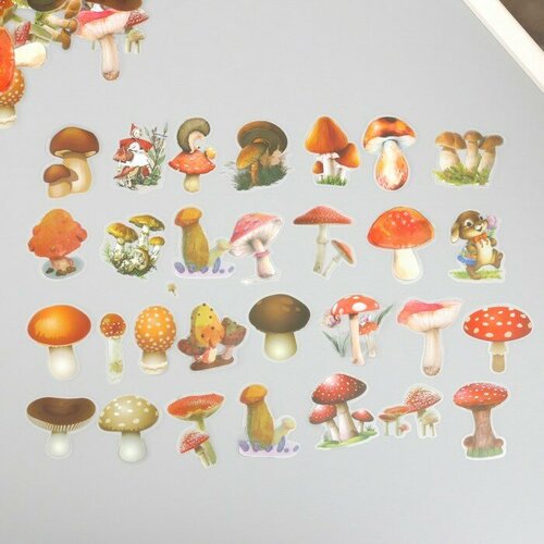 декоративные наклейки лесные обитатели грибы листья 10х16 см Наклейки для творчества пластик PVC Лесные грибы набор 60 шт 10х14 см