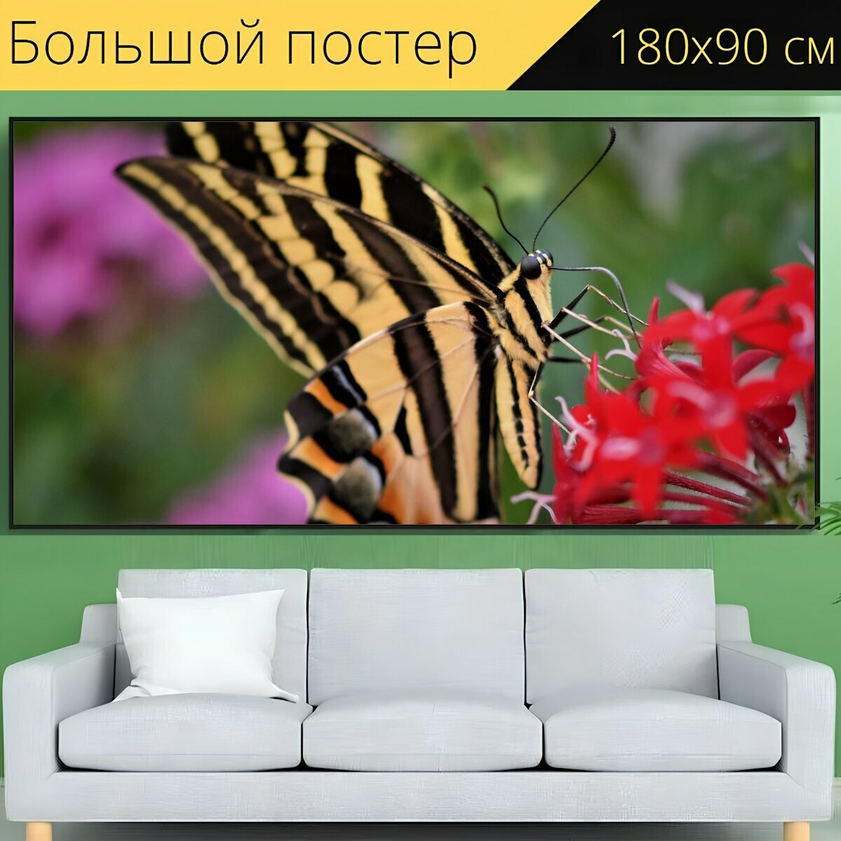 Большой постер "Ласточкин хвост, бабочка, тропические бабочки" 180 x 90 см. для интерьера