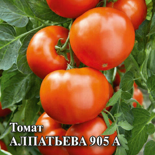 Семена Томат Алпатьева 905 А, 25г, Гавриш, Фермерское подворье семена томат алпатьева 905 а