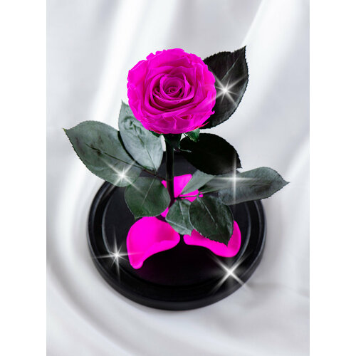 Живая Роза в колбе TheRoseDome Premium, цветок в колбе, вечная роза, подарок, декор для интерьера, цвет: ярко-розовая