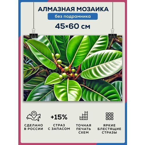 Алмазная мозаика 45x60 Фикус без подрамника