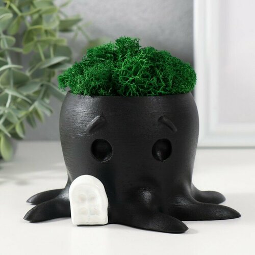 Кашпо бетонное Осминог высота 7 см d-65 см черный с белой лапкой со мхом мох зел стаб 566₽