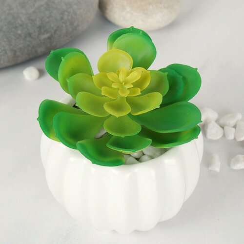 Суккулент искусственный 10х8 см 373₽