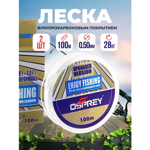 Леска рыболовная флюрокарбоновая Enjoy Fishing 100м 2шт №10 леска рыболовная флюрокарбоновая enjoy fishing 100м 1