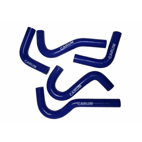 Патрубки отопителя ГАЗ 3302 Бизнес двс 4216 силикон (5 шт) CARUM