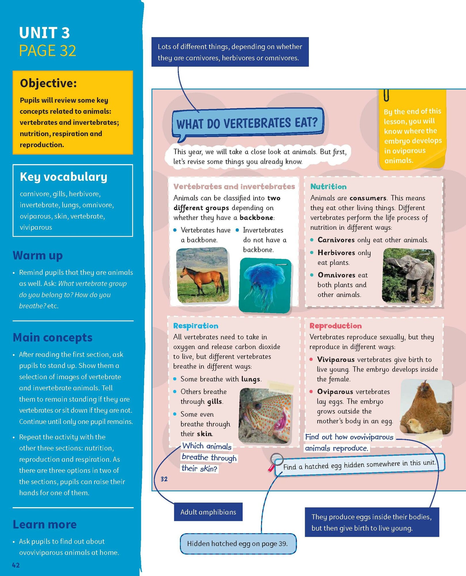 Science Skills. Level 4. Teacher's Book with Downloadable Audio - фото №8