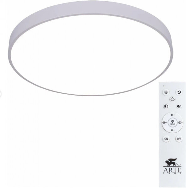 Потолочный светодиодный светильник Arte Lamp ARENA A2671PL-1WH