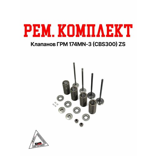 Рем комплект клапанов ГРМ 174MN-3 CBS300 ZS 5720₽
