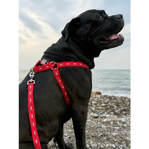 Шлейка эрго-анатомическая Japan Premium Pet с двойной фиксацией антисрыв и силиконовым креплением для собак до 30 кг, красная
