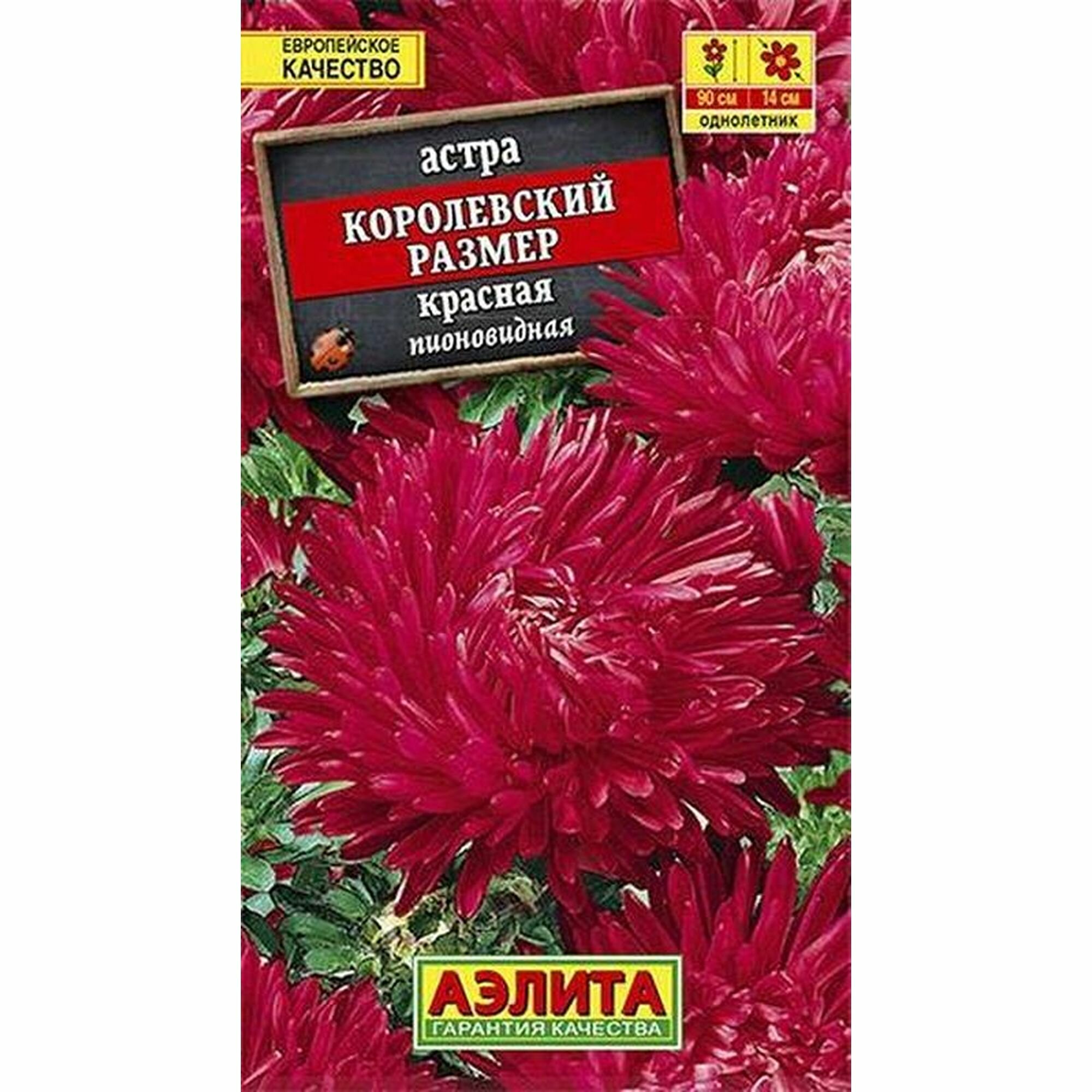Семена Астра Королевский размер красная пионовидное однолетник Аэлита 1 пачка - 0.1г семян
