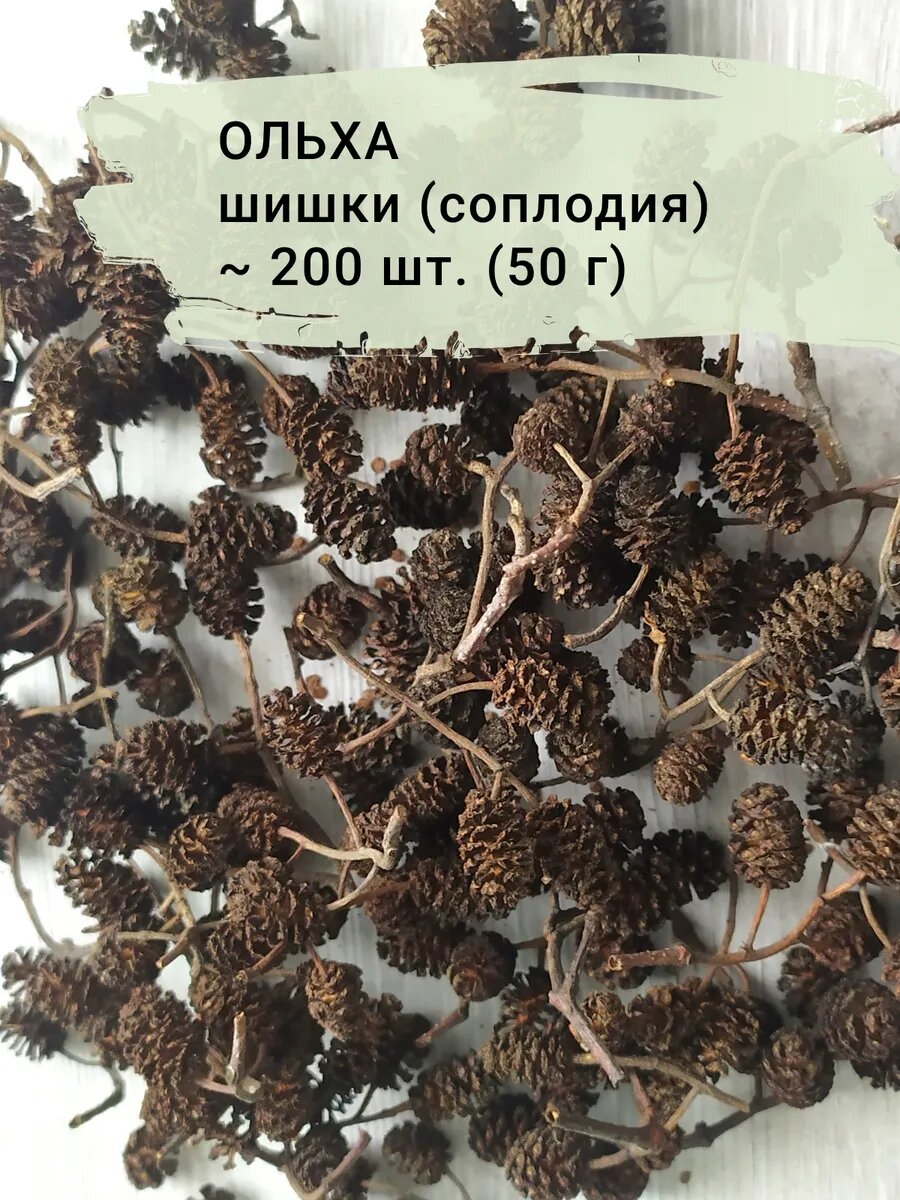 Шишки ольхи на веточках 50 грамм 200 шт. Набор природных материалов "KaDaMa Nature" для декора, флористики, аквариумов