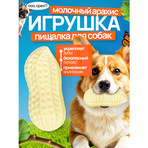 Игрушка для собак, грызунок для укрепления зубов Молочный арахис с пищалкой