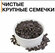Семечки подсолнуха неочищенные, без обжарки 7 кг, Россия (можно п...